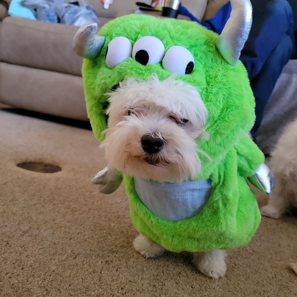 Green Monster Costume Pet Size Medium
